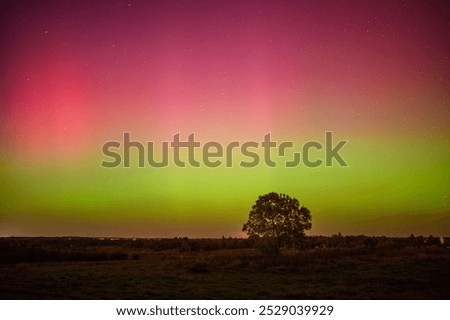 Stunning aurora borealis lights up the night sky with vibrant colors, creating a mesmerizing natural display in the Lithuania fields 10 11 2024 Perfect