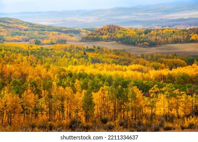 Stunning Autumn Colors Of Prairie And Forest Landscape In Alberta Close To Calgary And Banff In The Canadian Rockies Of Canada.