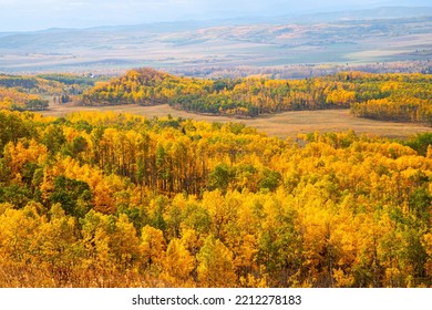 Stunning Autumn Colors Of Prairie And Forest Landscape In Alberta Close To Calgary And Banff In The Canadian Rockies Of Canada.