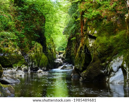 Stunning beauty spot Fairy Glen in Snowdonia National Park, Wales. River Conwy cascading in narrow gorge full of green moss covered boulders  and pink flowers above waterfall on right side cliff.