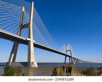 Stunning cablestayed bridge spanning a vast waterway under a brilliant blue sky.  Perfect for projects on infrastructure, travel, engineering, or transportation.