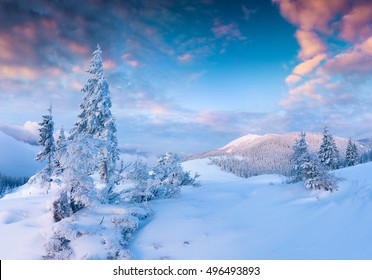 4,354,888 Snow landscape Stock Photos, Images & Photography | Shutterstock