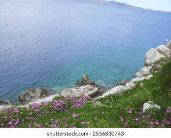 A stunning coastal view with clear blue water, rocky cliffs, and vibrant purple flowers in the foreground - Powered by Shutterstock