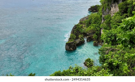 Stunning coastal view with clear turquoise water and lush greenery covering rocky cliffs. - Powered by Shutterstock
