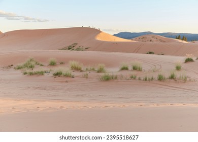 The stunning Coral Pink Sand Dunes State Park in southern Utah 库存照片