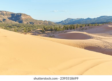 The stunning Coral Pink Sand Dunes State Park in southern Utah स्टॉक फोटो
