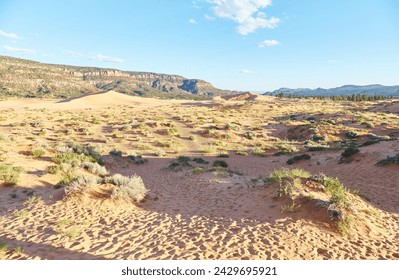 The stunning Coral Pink Sand Dunes State Park in southern Utah स्टॉक फोटो