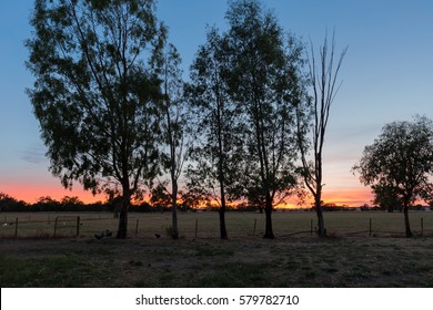 Stunning Dawn Sky Of Red And Orange On An Australian Farm