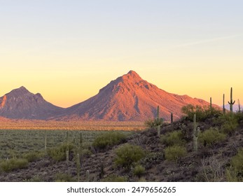 Stunning desert landscape at sunset featuring saguaro cacti and rugged mountains in Arizona, bathed in warm golden light, capturing the serene beauty and tranquility of the American Southwest.