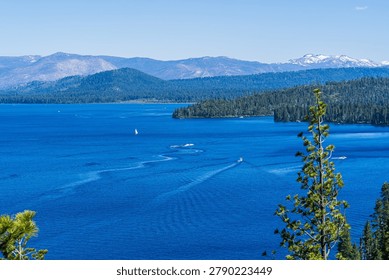 Stunning elevated panoramic view of Lake Tahoe, California Nevada, showcasing the lake's iconic deep cobalt-blue water on a clear sunny day. A white sailboat glides gracefully across the lake while speedboats leave curving white wakes across the vivid surface. Lush dark-green pine and fir trees frame the foreground and shoreline, while layers of forested mountain ridges recede toward snow-capped Sierra Nevada peaks under a crisp, cloudless blue sky. This vibrant landscape captures the natural beauty, outdoor recreation, and pristine wilderness of one of North America's most beloved alpine lakes. Ideal for travel, tourism, nature, recreation, vacation, and environmental themes.