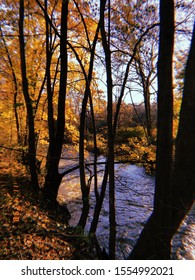 Stunning Fall Foliage In Chester County, PA