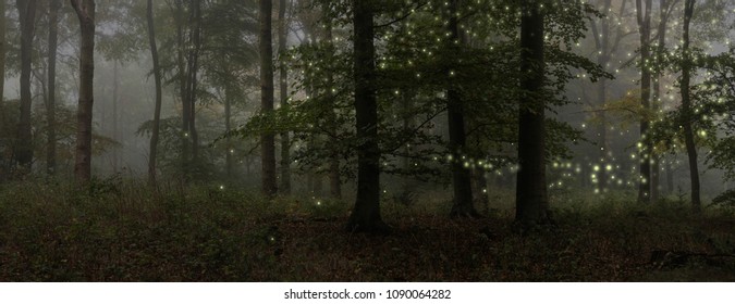 Stunning Fantasy Style Landscape Image Of Fireflies Glowing In Night Time Forest Scene