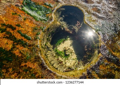 Stunning Figure Eight Pools, Sydney, NSW, Australia. Natural Pool  That Was Scour By Seawater Flow.