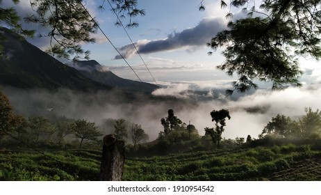 Stunning Foggy Winter Morning At Mao, Manipur, INDIA