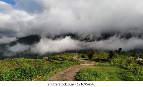 Stunning Foggy Winter Morning At Mao, Manipur, INDIA