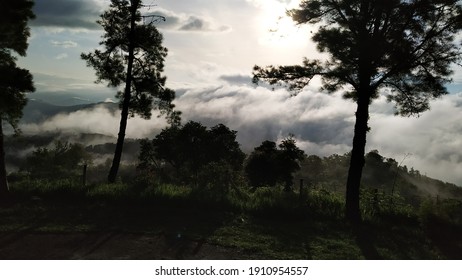 Stunning Foggy Winter Morning At Mao, Manipur, INDIA