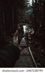Stunning forest pathway captured through a smartphone screen, creating a mesmerizing blend of nature and technology. Ideal for themes of adventure, exploration, and modern connectivity.