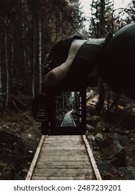 Stunning forest pathway captured through a sony alpha a7III screen, creating a mesmerizing blend of nature and technology. Ideal for themes of adventure, exploration, and modern connectivity.
