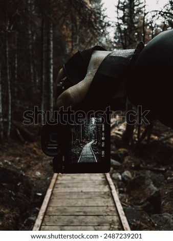 Stunning forest pathway captured through a sony alpha a7III screen, creating a mesmerizing blend of nature and technology. Ideal for themes of adventure, exploration, and modern connectivity.