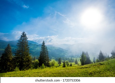 283,396 A stunning view Images, Stock Photos & Vectors | Shutterstock