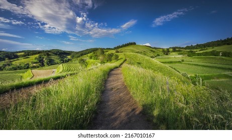 Stunning Green Landscape, Interesting To Watch