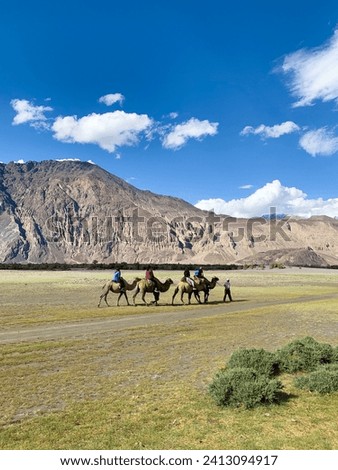 Stunning high and massive mountain Sand dune and camel ride in Ladakh, Nubra Valley, Northern India 