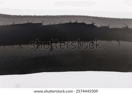 Similar – Image, Stock Photo Partly frozen lake with a view of the snow-covered fir forest