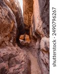 Stunning image of The Joint Trail slot canyon in Utah