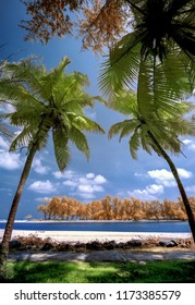 Stunning Infra Red Alternative Color Landscape Image Of Terengganu River Side , (soft Focus,selective Focus) Infrared Photography.soft And Grain Effect.