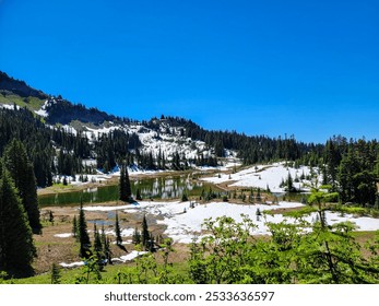 A stunning landscape of a snowy mountain, forest, and lake under a clear blue sky on a sunny day in Mount Rainier National Park, Washington, USA - Powered by Shutterstock