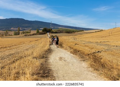 Stunning landscape in Spain with golden agricultural fields. Some people walking on the dusty road. El Camino pilgrim rout in autumn.  - Shutterstock ID 2226835741