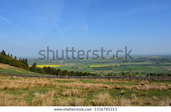 Stunning landscape with a stone wall dividing
the landscape.