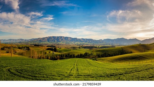 The Stunning Lush Green  Hills And Valleys Of Endless Farm Land Around Mount Michael Road, Fairlie 