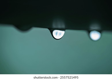 stunning macro photograph of a raindrop suspended delicately, set against a vibrant blue background with soft bokeh effects - Powered by Shutterstock