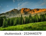 Stunning nature wallpaper featuring green mountains illuminated by sunlight. Ideal for web design, social media, and print, this high-resolution image captures the tranquility and beauty of the outdoo