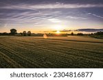 Stunning orange sunset cascades over lush fields in the Po Valley, Northern Italy