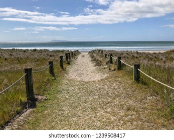 Stunning Pacific Ocean water and native, wild grasses along the sandy path leading to the view of Mayor Island on the horizon off the coast of Waihi Beach, New Zealand. North Island.
