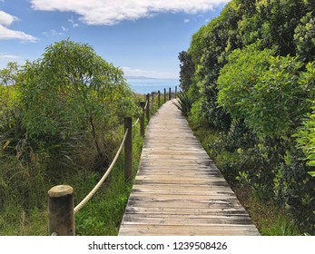 Stunning Pacific Ocean water and native, wild grasses along the wooden path leading to the view of Mayor Island on the horizon off the coast of Waihi Beach, New Zealand. North Island.
