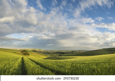 Stunning Panorama Landscape South Downs Countryside In Summer