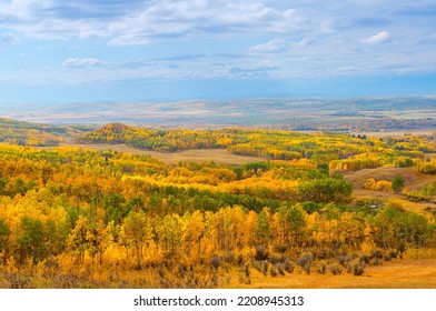 Stunning Panorama Of Prairie And Forest Landscape In Beautiful Autumn Colors. Fall Color Outdoor Background Close To Calgary And Banff In The Canadian Rockies Of Southern Alberta, Canada.