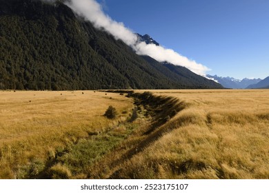 Stunning scenery at Knobs Flat of Eglinton Valley viewpoint on the Milford Sound highway with common Red Tussock Grass (Chionochloa rubra) , Fiordland National Park, South Island of New Zealand