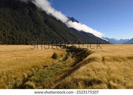 Stunning scenery at Knobs Flat of Eglinton Valley viewpoint on the Milford Sound highway with common Red Tussock Grass (Chionochloa rubra) , Fiordland National Park, South Island of New Zealand