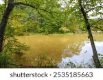 a stunning shot of the deep brown waters of the river with lush green and autumn colored trees on the banks of the Sweetwater Creek at Sweetwater Creek State Park in Lithia Springs Georgia USA