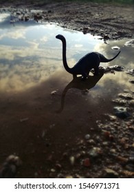 Stunning Silhouette At Sunset Of The Diplodocus Dinosaur, With Its Typical Sauropod Shape, Long Neck And Tail, And Four Sturdy Legs. Jurassic Animal In The Vicinity Of Water.