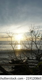 Stunning Sky And Dry Tree Branches Look Beautiful