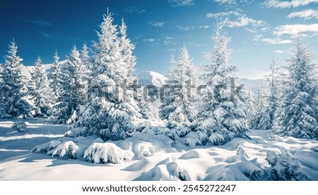 Stunning snow-capped conifers covered with hoarfrost on a frosty day. Merry Christmas and happy new year greeting card. Photo wallpaper. Idyllic seasonal pattern. Discovery the beauty of earth. 