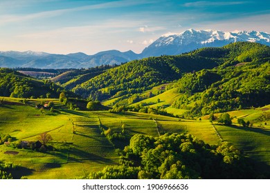 Stunning spring countryside landscape with green fields on the hills and high snowy mountains in background, Holbav village, Transylvania, Romania, Europe