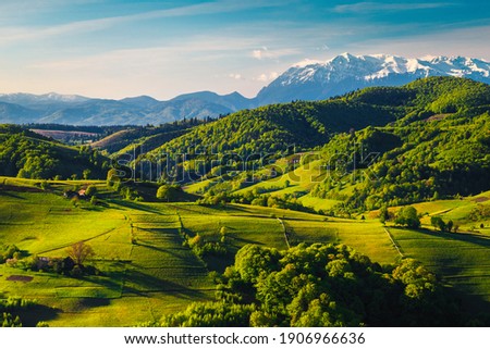 Stunning spring countryside landscape with green fields on the hills and high snowy mountains in background, Holbav village, Transylvania, Romania, Europe