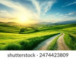 Stunning Summer Landscape with Green Rolling Hills and Winding Path