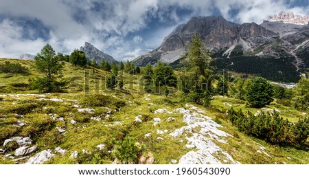 Stunning sunny mountain landscape with overcast sky. View on Alpine valley with pine trees, green grass and rock mounta on background. Amazing nature scenery at summer. Dolmites alps. Italy